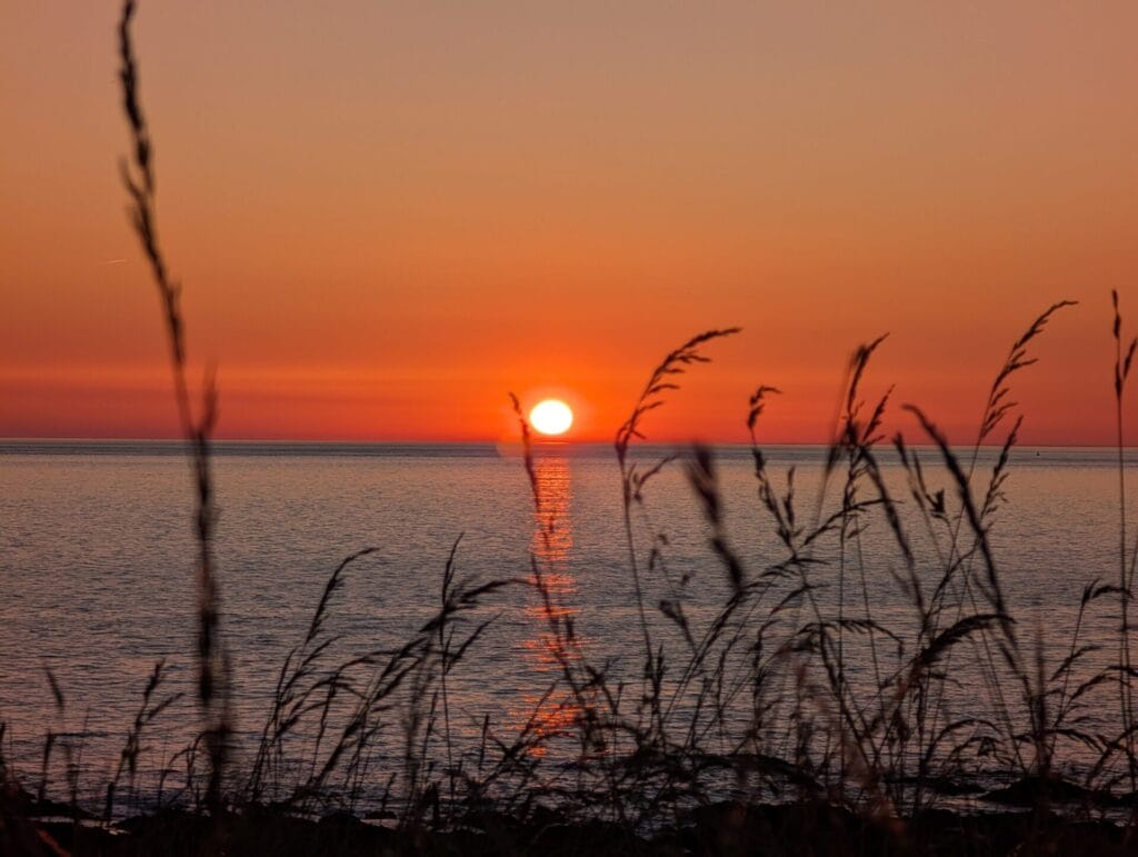 Dispatches from Croyde Bay – July 2025